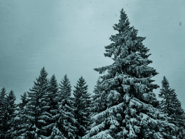 Advent of Evil – Day&nbsp;23