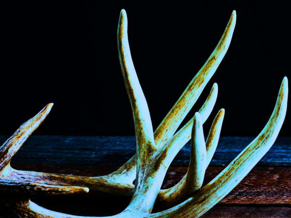 Advent of Evil – Day&nbsp;25